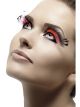 Black Pink Feather Eyelashes